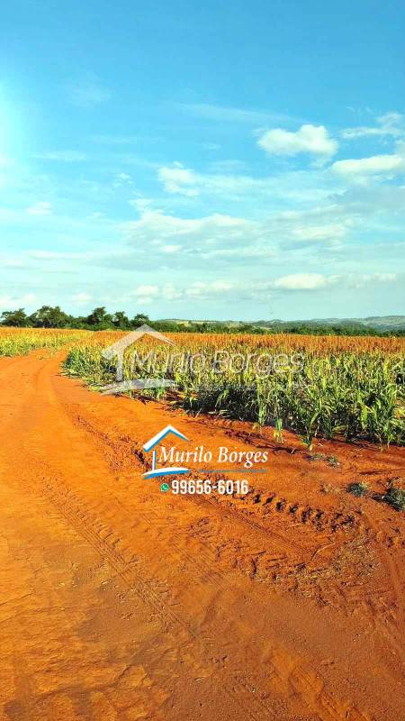 Fazenda à venda na ZONA RURALZONA RURAL - 143636-3.jpg